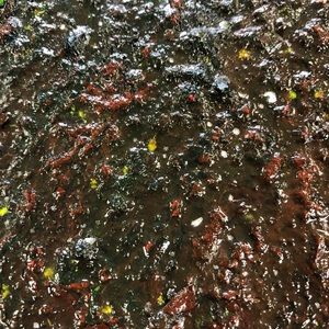 Paint Skin highly textured earth tones and yellow